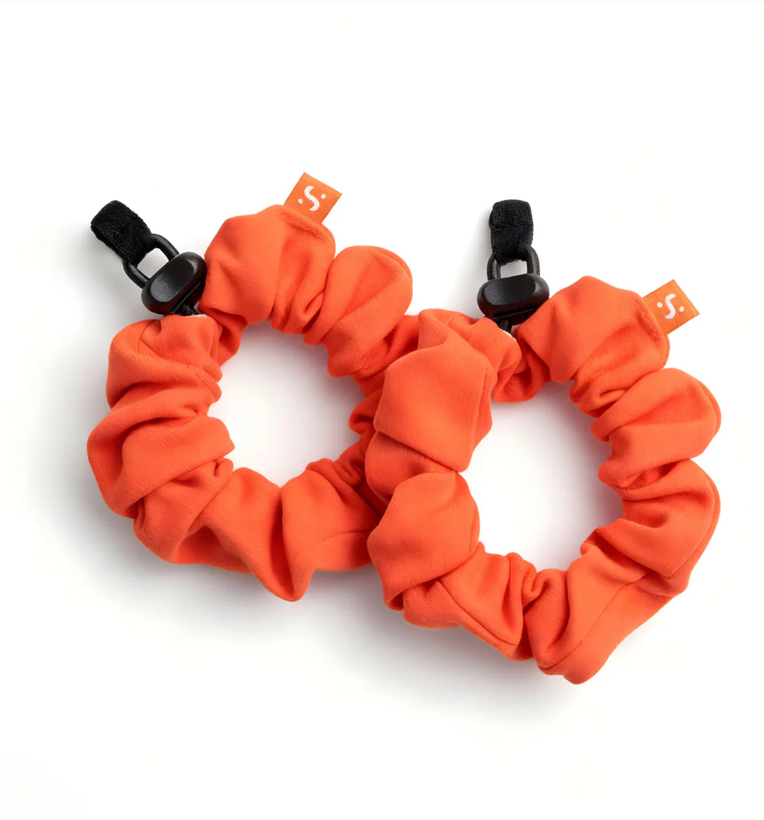 Bright Orange - Everyday Band